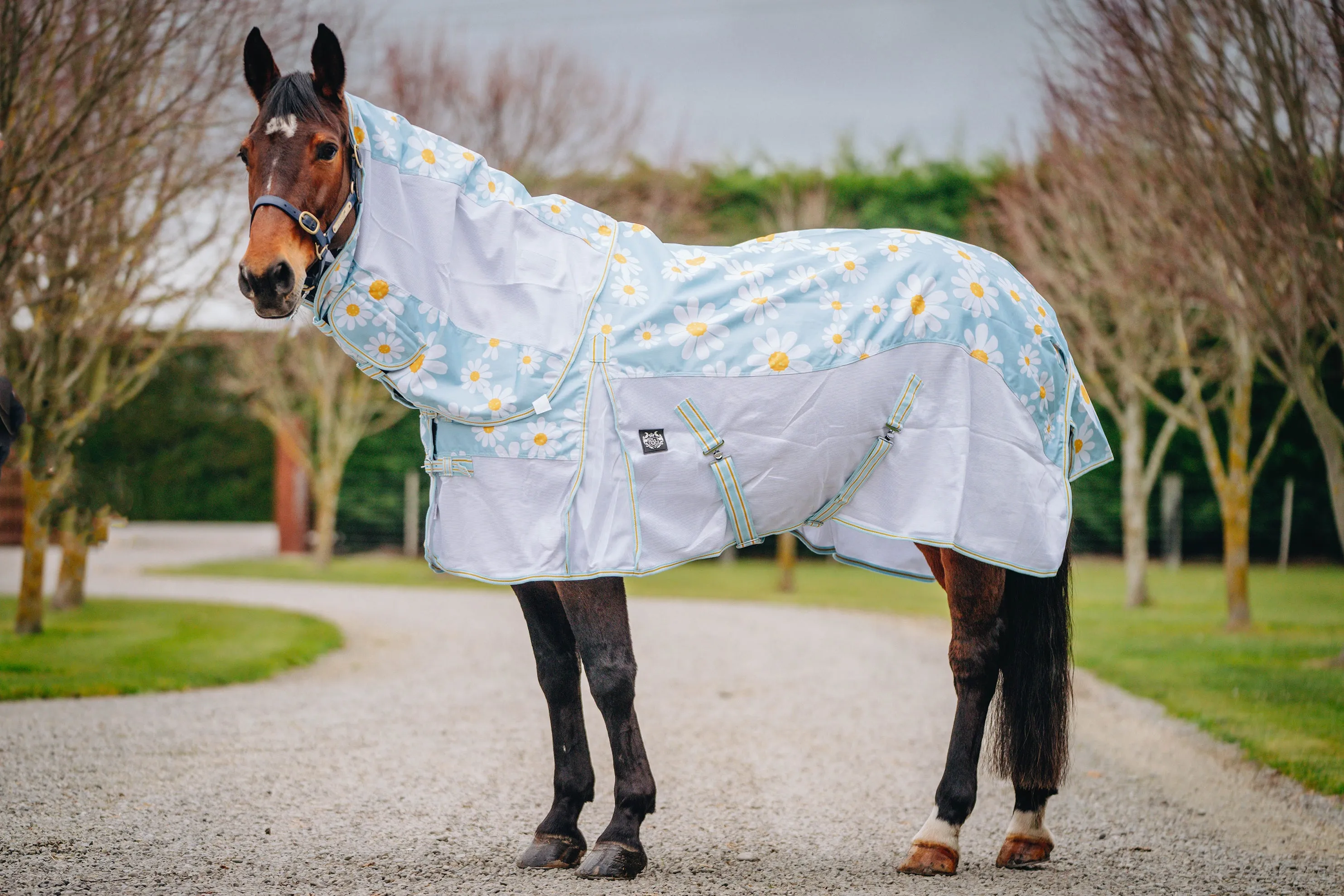 1200D No Fill Daisy Combo w/ Mesh Sides (Pony)