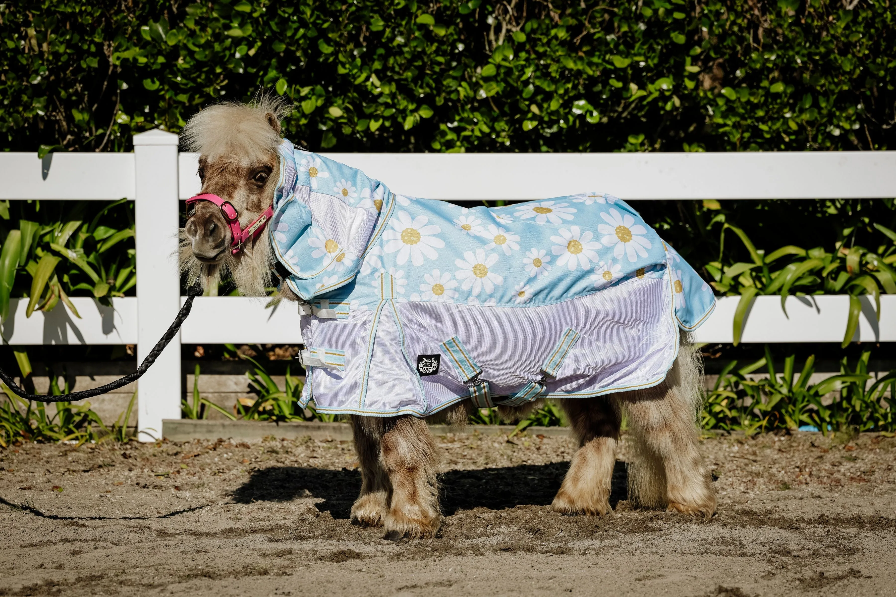 1200D No Fill Daisy Combo w/ Mesh Sides (Pony)