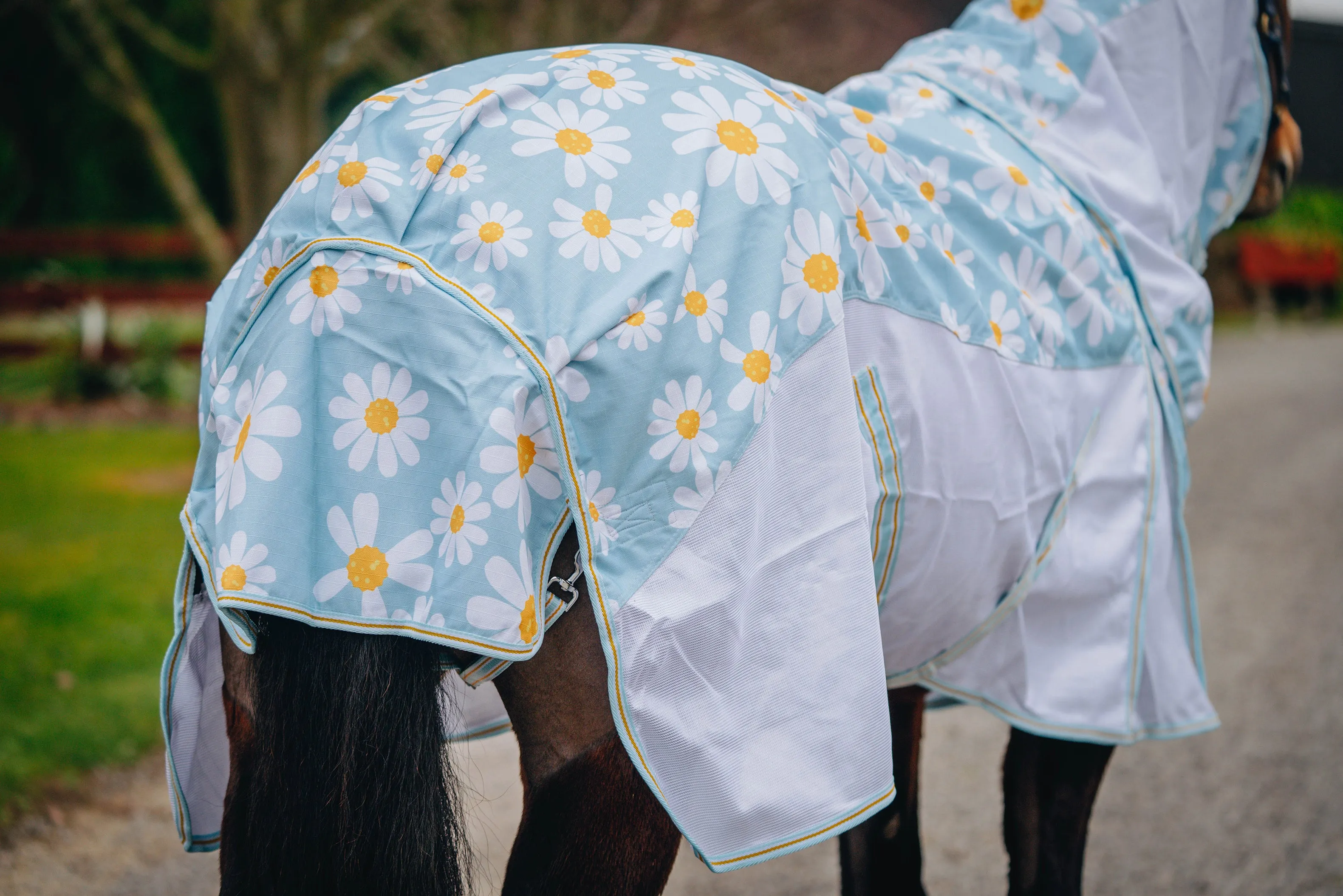 1200D No Fill Daisy Combo w/ Mesh Sides (Pony)