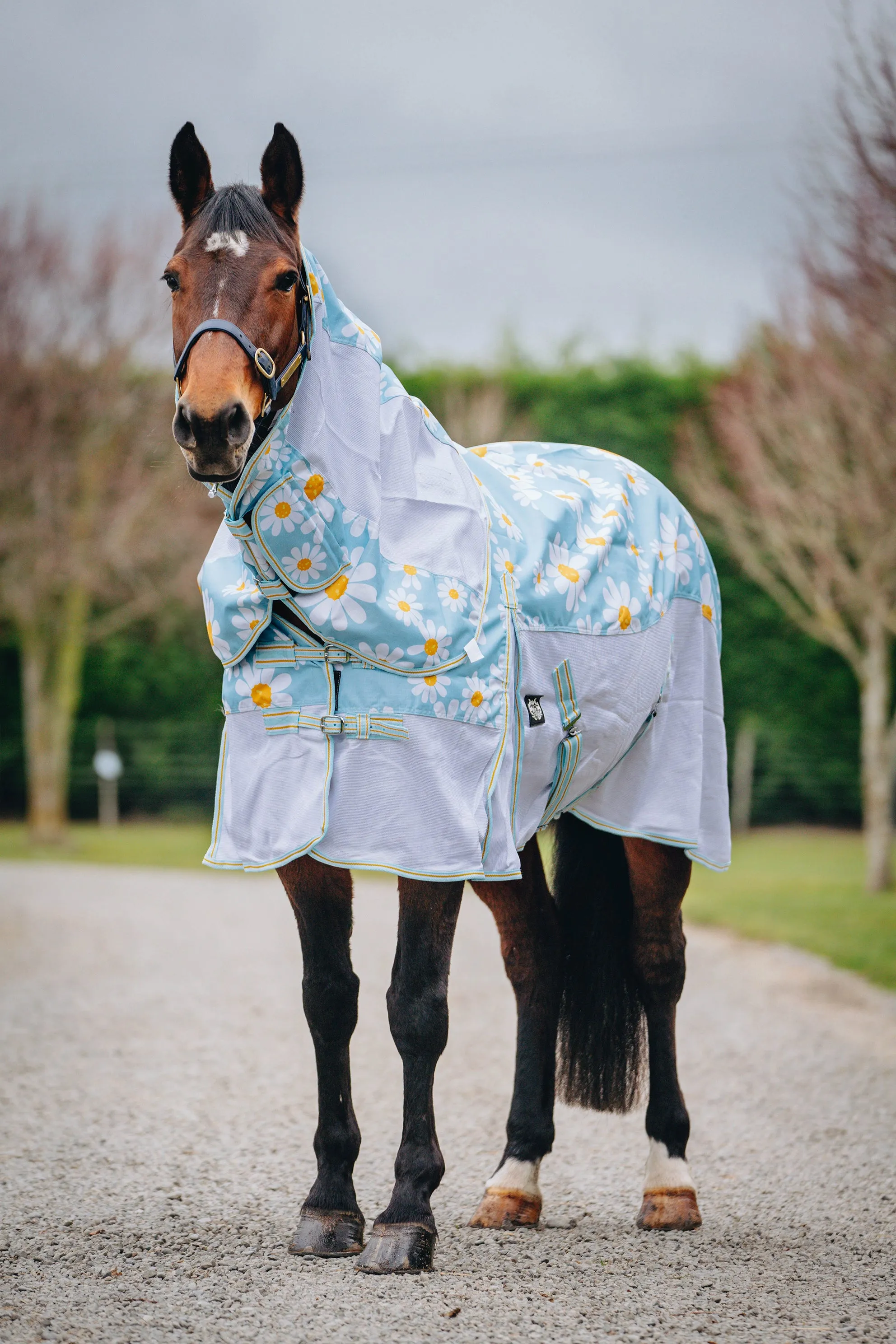 1200D No Fill Daisy Combo w/ Mesh Sides (Pony)