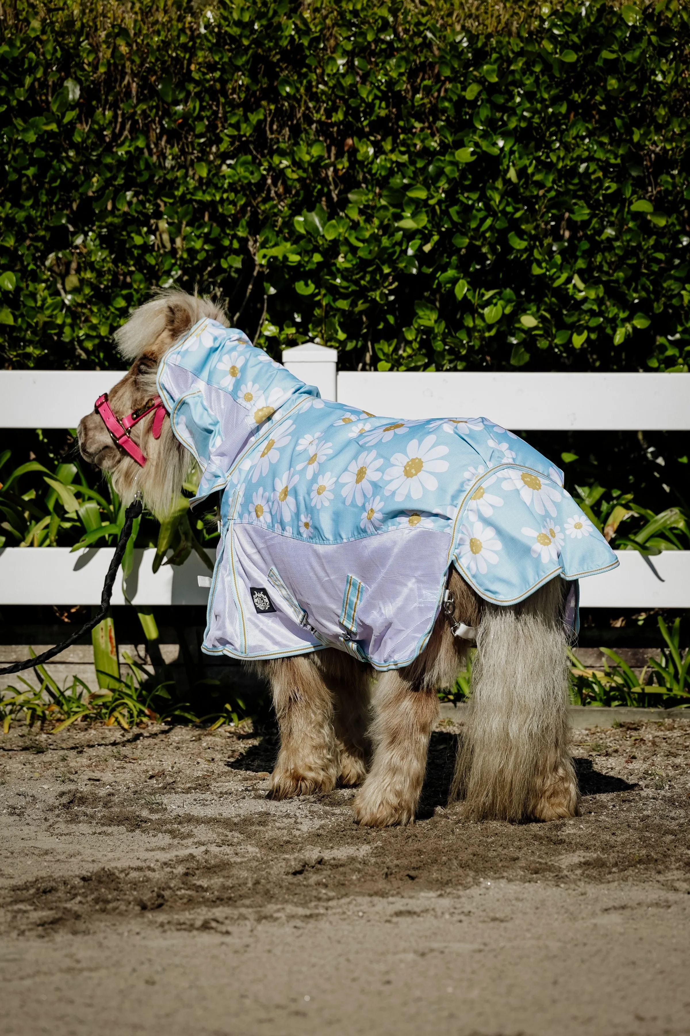 1200D No Fill Daisy Combo w/ Mesh Sides (Pony)