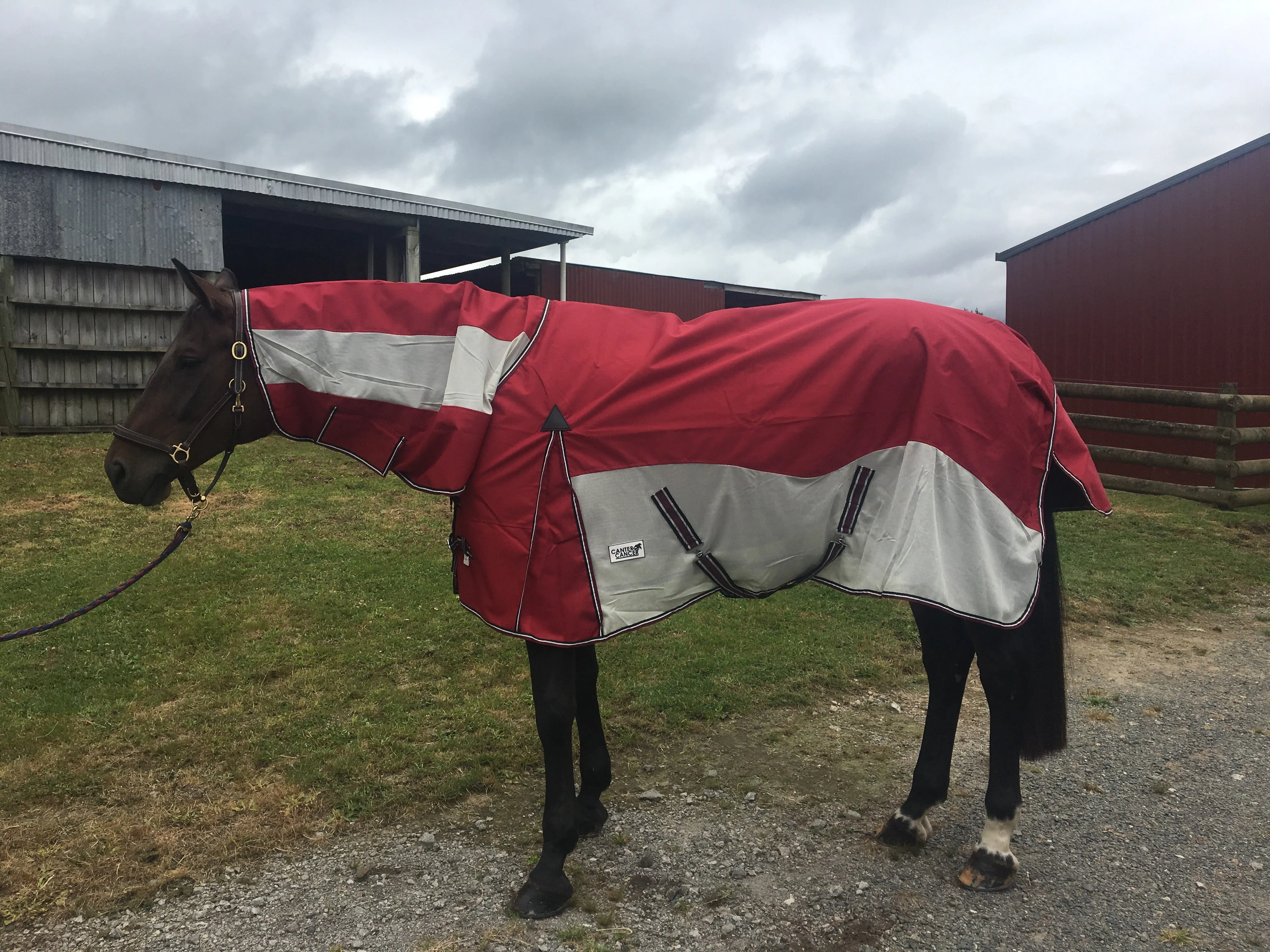 1200D No Fill Red Combo w/ Mesh Sides (Pony)