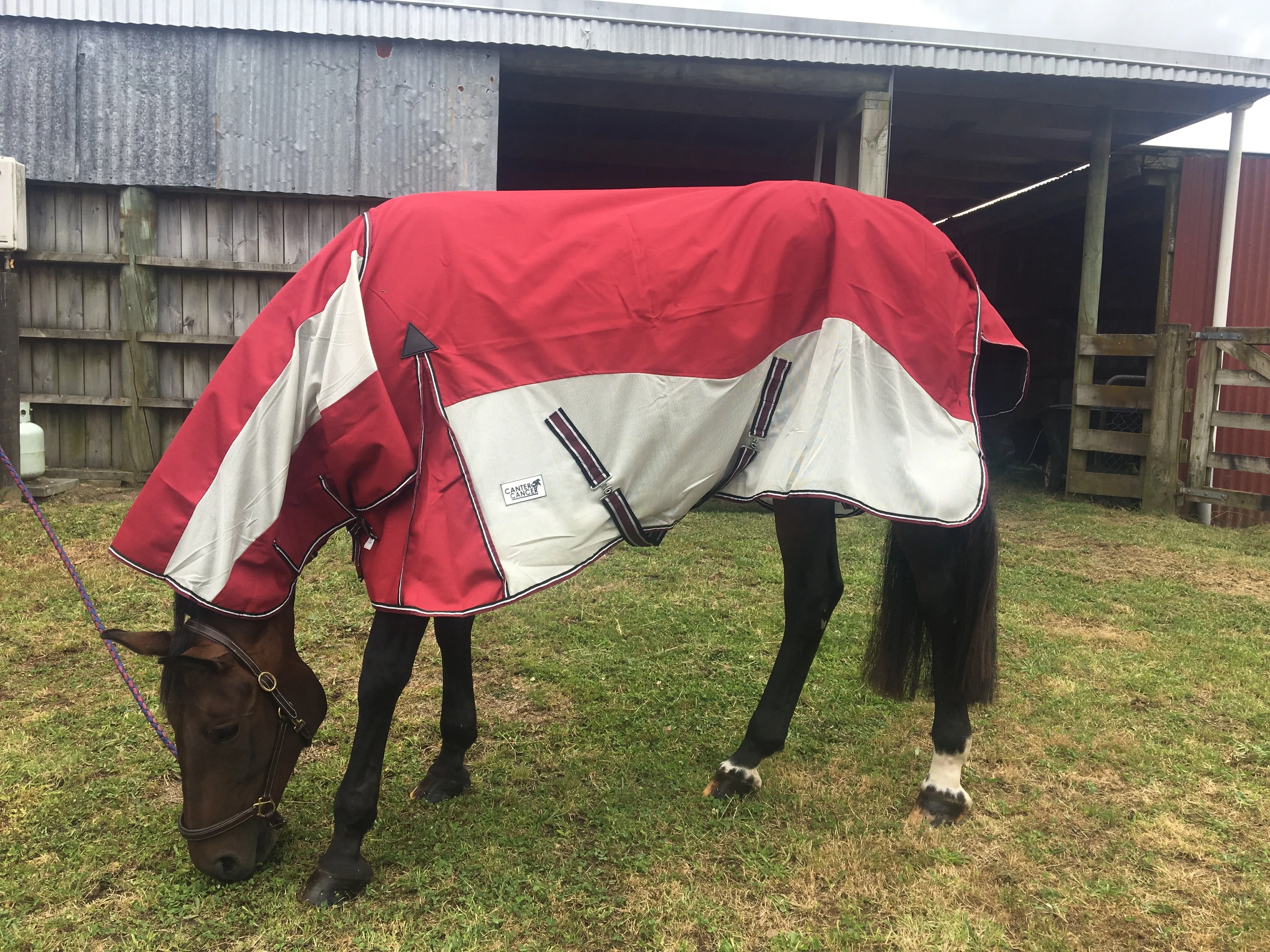 1200D No Fill Red Combo w/ Mesh Sides (Pony)