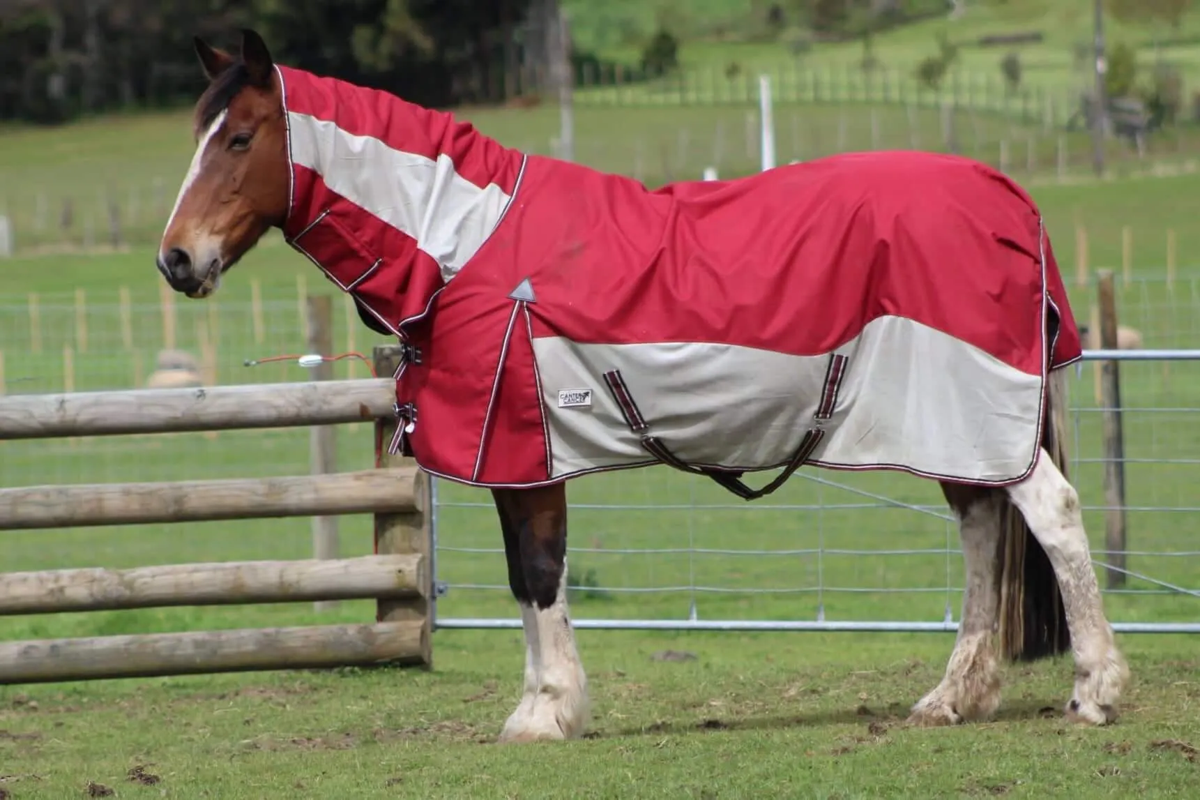 1200D No Fill Red Combo w/ Mesh Sides (Pony)