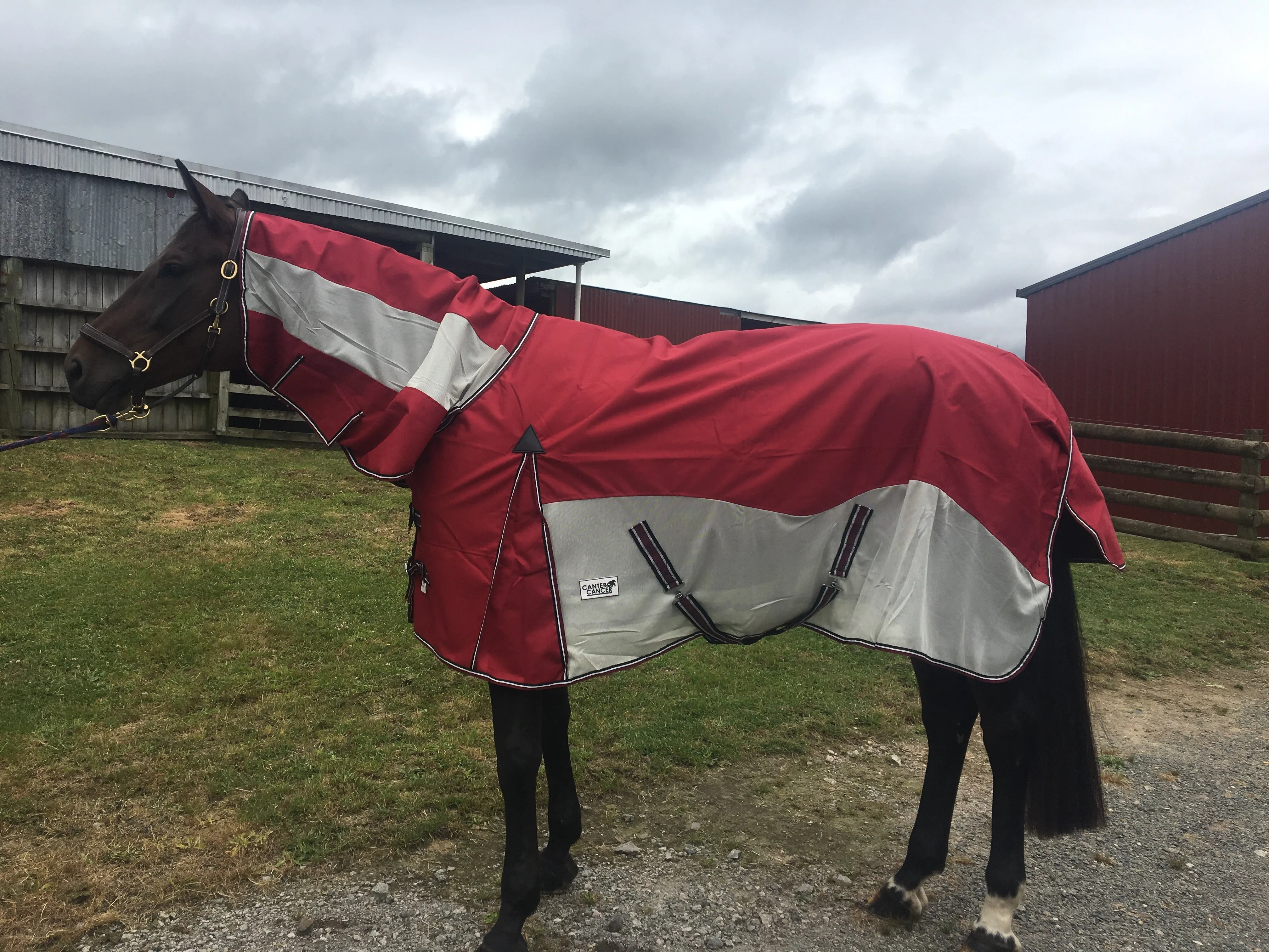 1200D No Fill Red Combo w/ Mesh Sides (Pony)