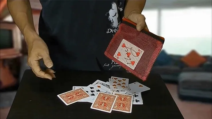 Card Through Mesh Bag by Higpon