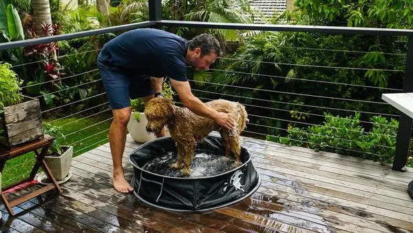 DOOG Pop-Up Dog Pool