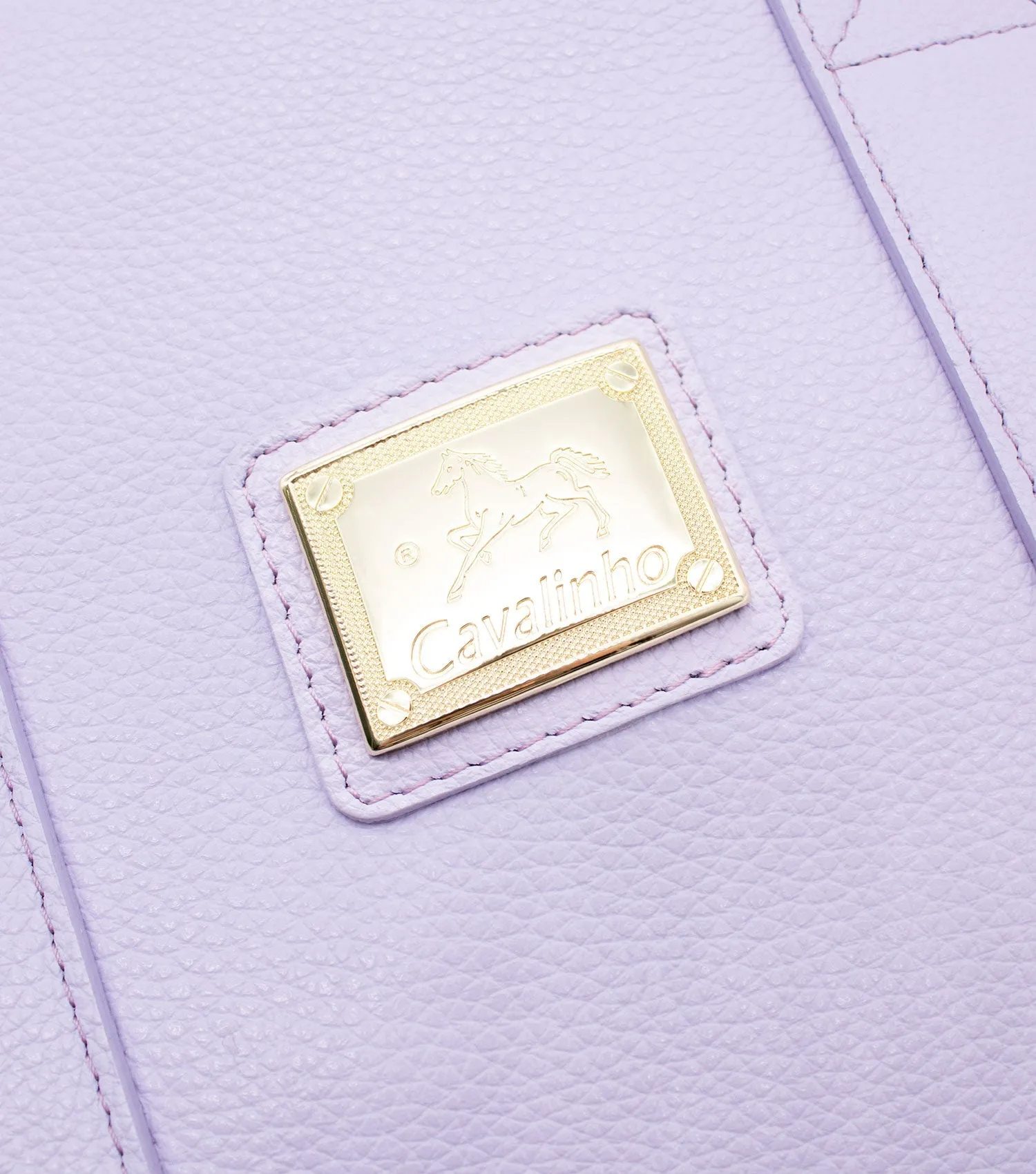 Muse Leather Handbag