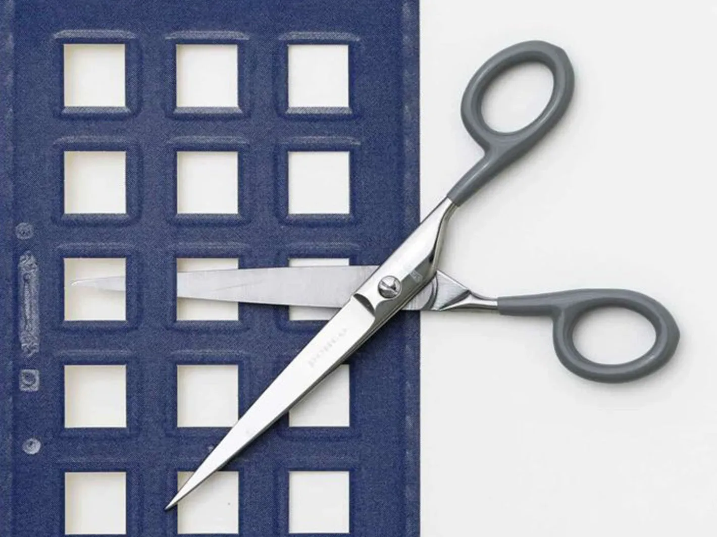 Stainless Steel Scissors L Grey